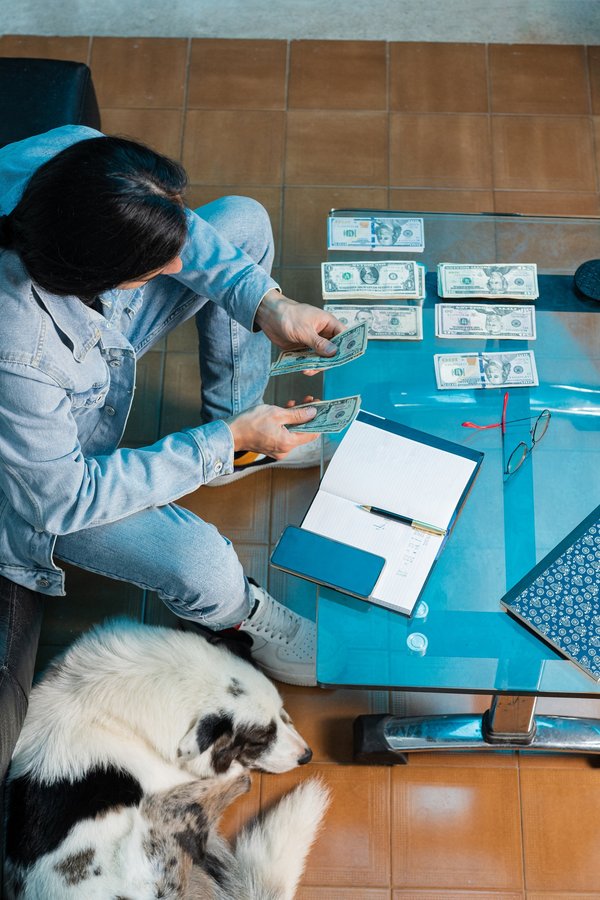 Maximisez vos économies grâce aux avantages fiscaux disponibles